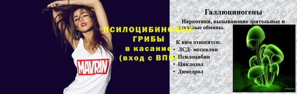 стафф Алексеевка