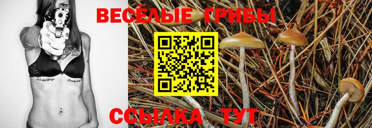 Галлюциногенные грибы Cubensis Киров