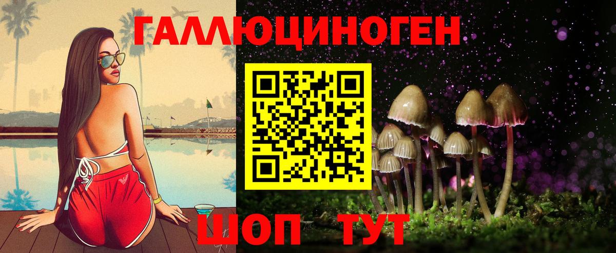 Киров  Галлюциногенные грибы GOLDEN TEACHER  где купить   Вход с VPN 