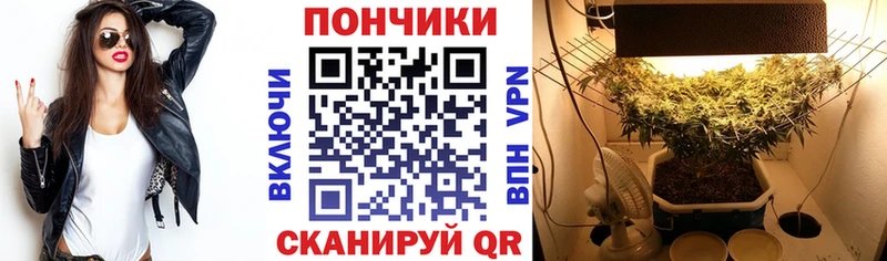 Бошки Шишки White Widow  hydra зеркало  Киров  наркошоп 